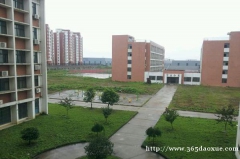 ʏƼ̌W(xu)УƵ팣I(y)