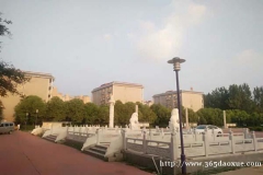 C늼gÌI(y)