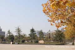 o팣I(y)