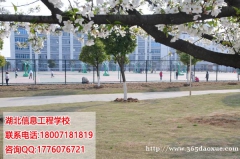 Ϣ̌W(xu)УI(y)O(sh)